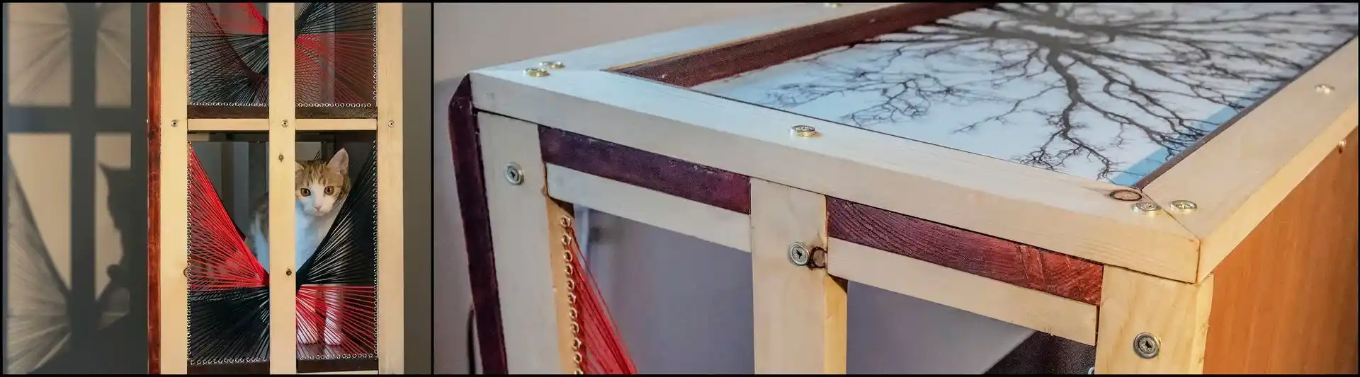 image showing the bookcase top and side-panels with cat