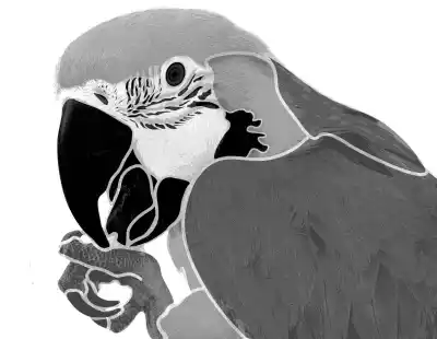 Dividing the image into tonal regions