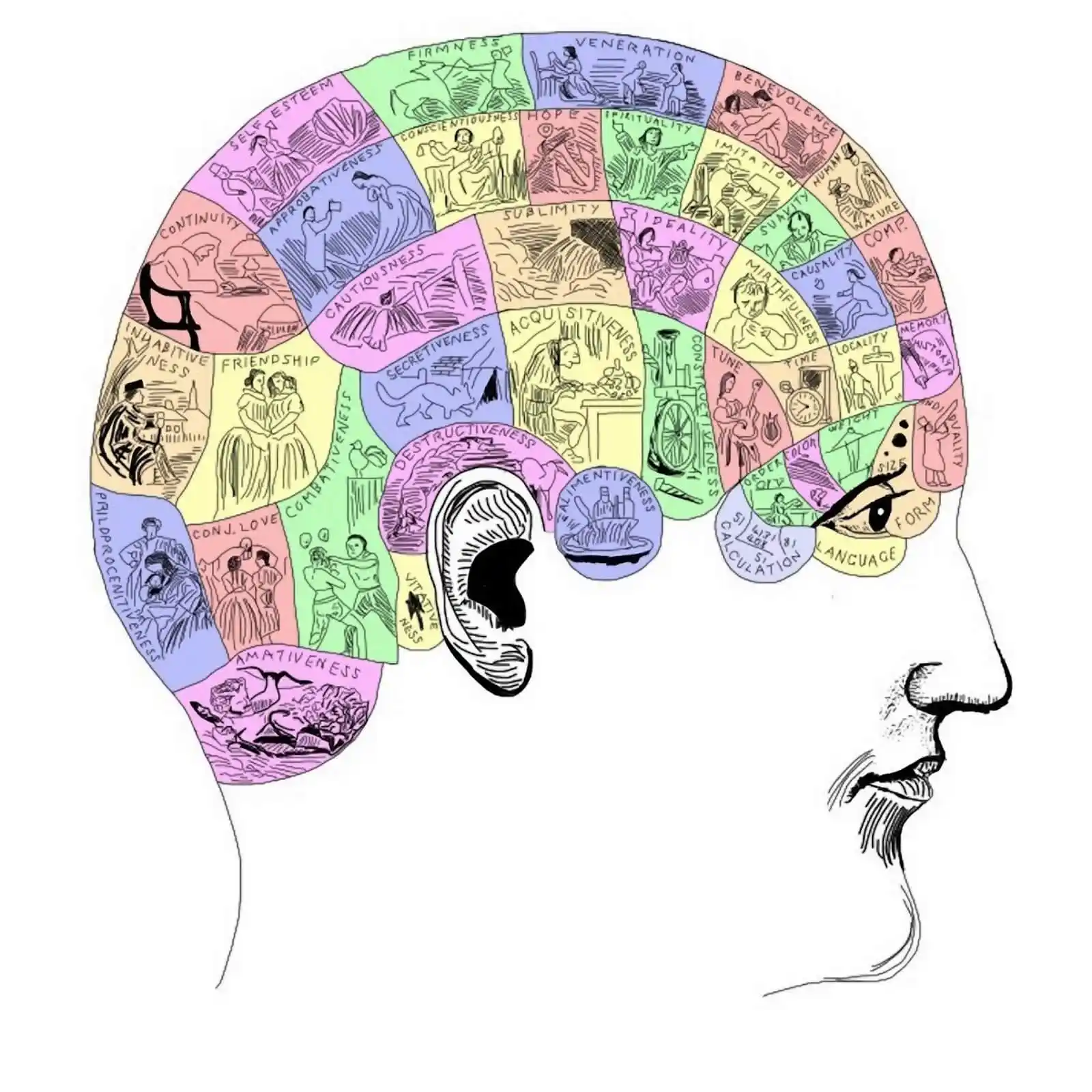Sketch of the brain... rather mind