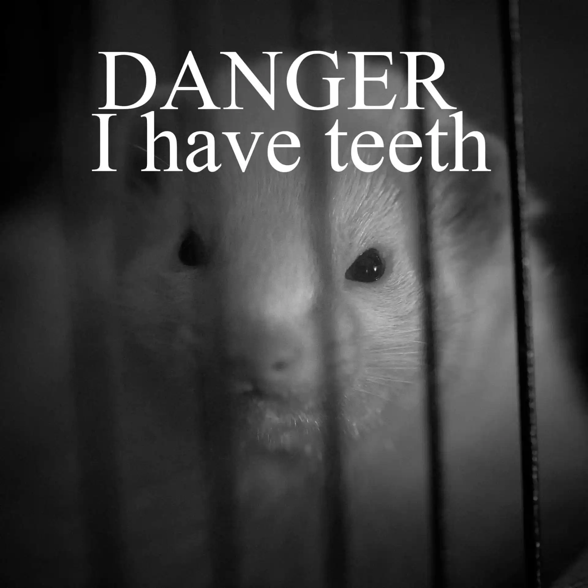image showing the danger of sharp teeth