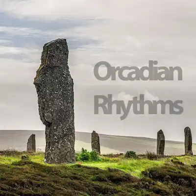 image illustrating Orcadian Rhythms