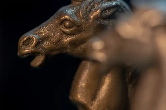 A single frame from towards the back of the stack