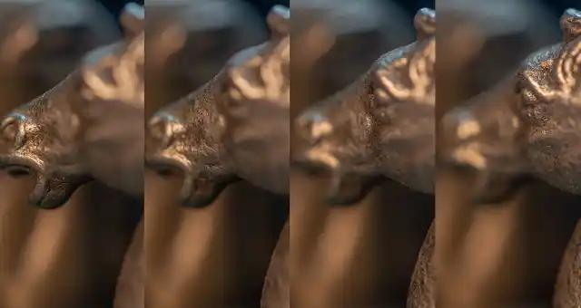 4 separate frames showing the focus shift across the subject