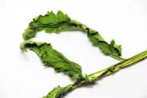 thumbnail of main image