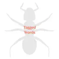 A large ant with title Tagged Words